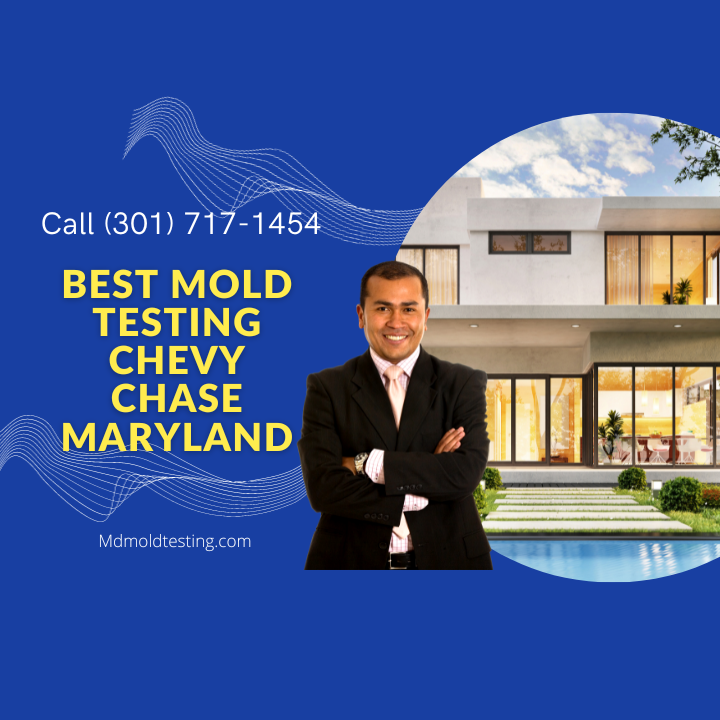 Best Mold Testing Chevy Chase Maryland