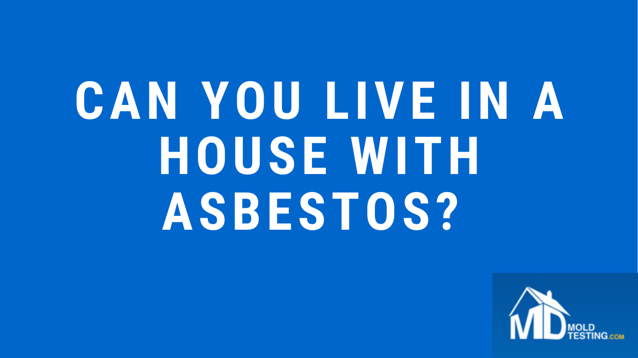 Can you live in a house with asbestos (Asbestos Testing Alexandria Virginia)