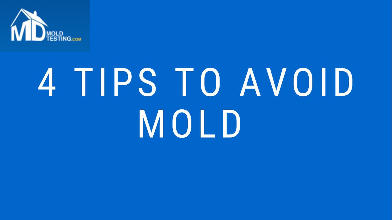 Mold Testing Tips