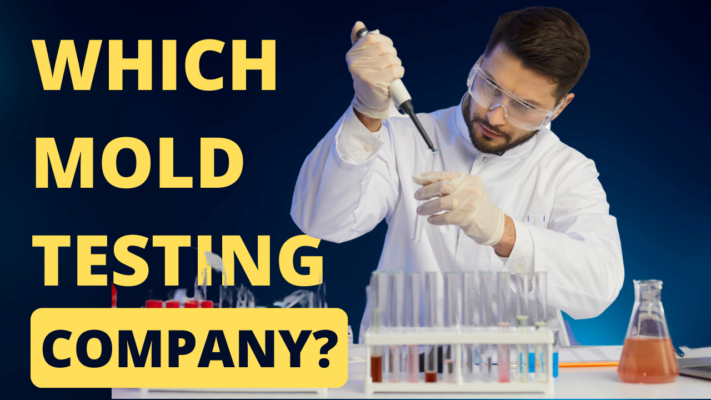 Mold Testing Labcorp ๐ How to Choose the Right Mold Testing Company | Expert Tips ๐ Mold ...
